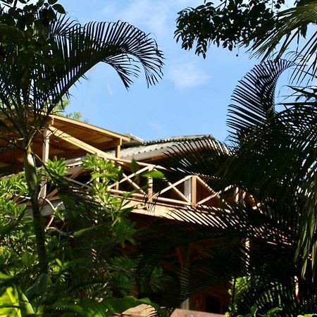 Eden Jungle Lodge Bocas del Toro Exterior foto