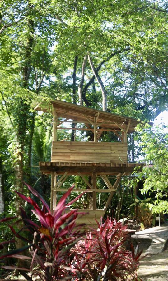 Eden Jungle Lodge Bocas del Toro Exterior foto