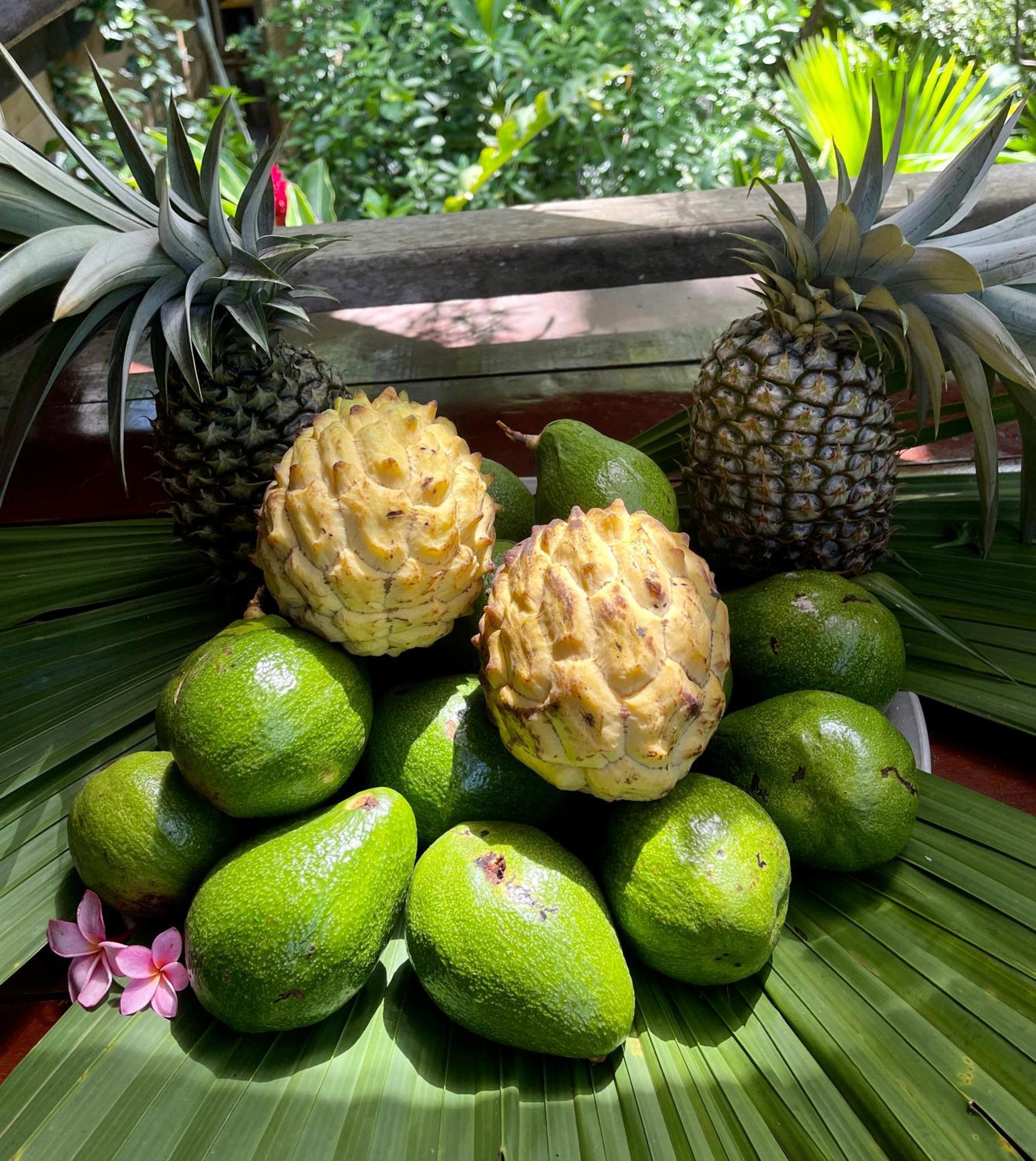 Eden Jungle Lodge Bocas del Toro Exterior foto