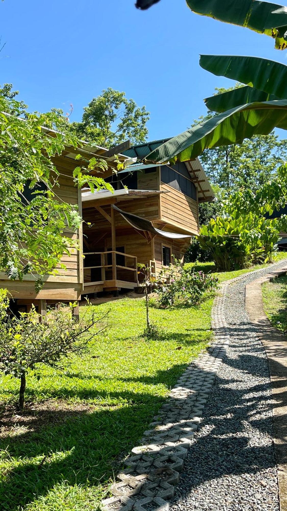 Eden Jungle Lodge Bocas del Toro Exterior foto